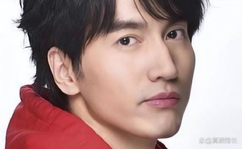 何炅谢娜久违同台，揭秘昔日“大傻子”蜕变之路