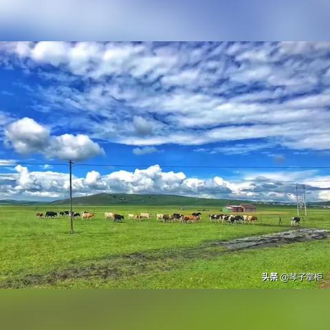 找传奇官网总踩坑？老玩家教你3步辨真官网，避过90%套路