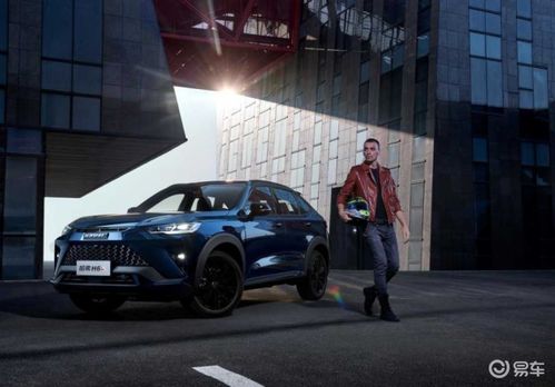 首部“京东汽车”震撼上市，4.99万元起售，性价比新标杆！