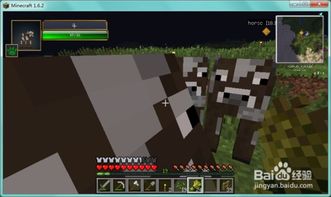 Grounded新手必看，为什么你建的基地总被拆？我用3次重生悟出的生存底层逻辑