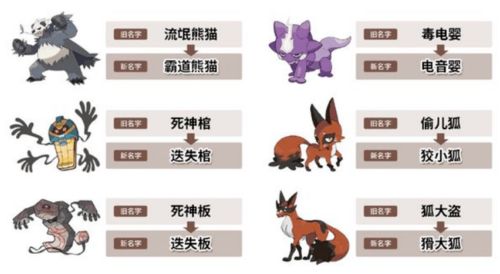 宝可梦图鉴里的隐藏判定，为什么你查的属性克制总和实战不一样？