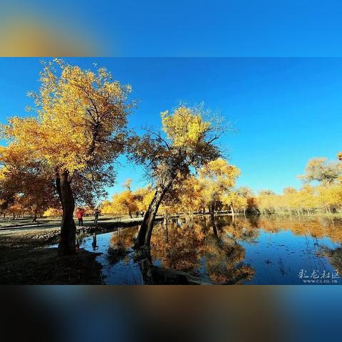 暗黑破坏神不朽国际服还能玩吗？老玩家30天实测讲透当前版本生存指南