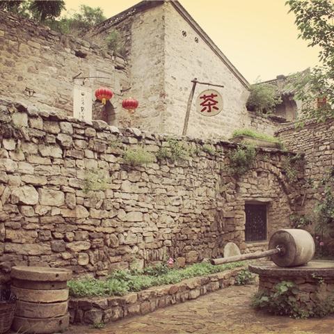 游戏里的千年树藏着多少秘密？老玩家才懂的3个隐藏机制与绝版奖励