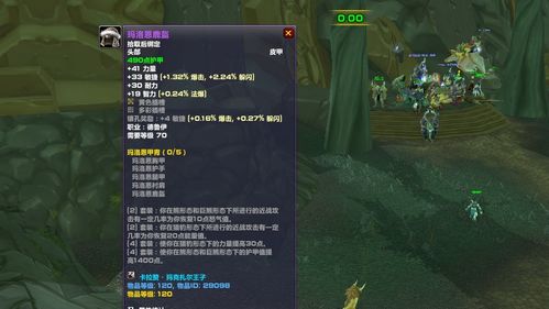 魔兽世界野德天赋怎么选？2025版猎豹/熊形态实战最优解全拆解