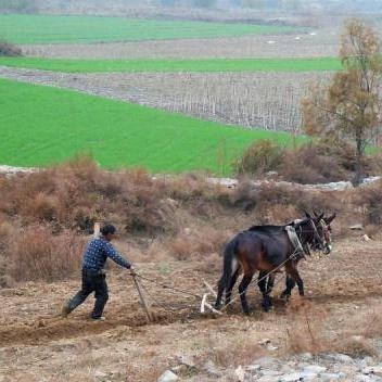 种地游戏凭什么成为中国文化输出的「新农具」