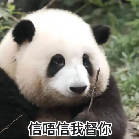 熊猫花花感冒暂停展出？游戏玩家为什么比谁都急？