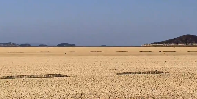 鄱阳湖巨型地笼阵官方回应藏玄机？游戏高手教你识破现实版陷阱布局