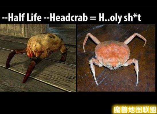 半条命第一章还在绕圈？我摸透的隐藏捷径+猎头蟹反杀技巧全公开