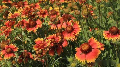 勿忘我存档全攻略，为什么90%玩家卡关的根源，藏在你没注意的存档细节里？