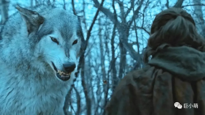 冰原之战玩家必看，为什么90%的人卡在霜狼隘口？