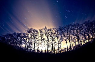 魅族22月白天青惊艳夜景，夜拍新境界揭秘