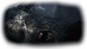 《罪业烙印》揭秘：宫崎英高真传弟子打造魂系肉鸽新体验