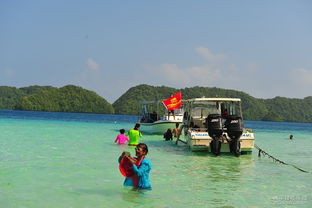 无人岛日记为什么有人能活30天？我用10篇真实日记解开了隐藏机制