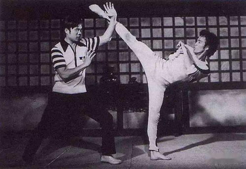 李小龙游戏为什么没人敢乱做？从3款冷门神作看武术IP的「破圈死局」