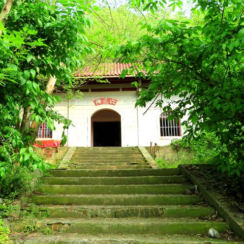 龙王之战玩家必看，为什么90%的人卡在三阶龙穴？我用3天打通的实战逻辑