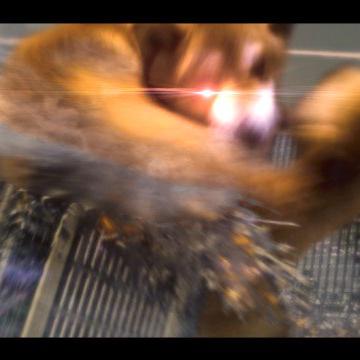 2025年还在找L4D2下载？老玩家亲传3种无坑路径+联机秒连技巧