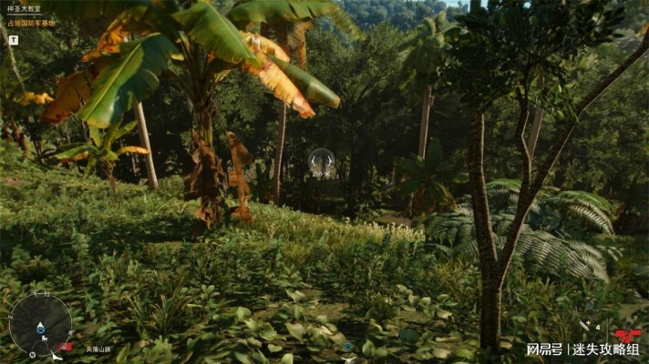 墨西哥丛林揭秘：孤岛惊魂7新地点曝光
