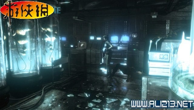 《生化》系列深度攻略：解锁最佳游玩顺序秘籍