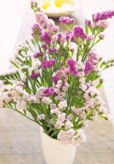 勿忘我存档突然没了？老玩家3年踩坑经验教你100%找回+永久防丢