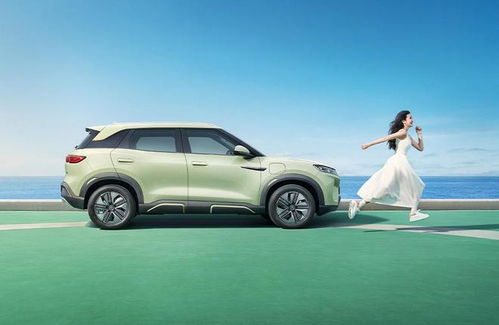 比亚迪元UP销量霸榜，创新高夺小型SUV六连冠！