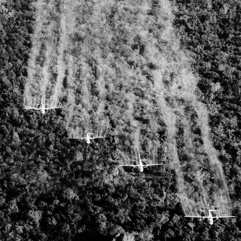 战争之人，越南隐藏的丛林生存密码，为什么老玩家都在刷这3个战役？