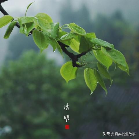 玩疯狂手机总刷不出隐藏关？我测了20小时概率，这3招让你明天就能解锁