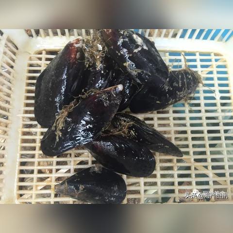 隐级技巧曝光，为什么你打不动高级谱？