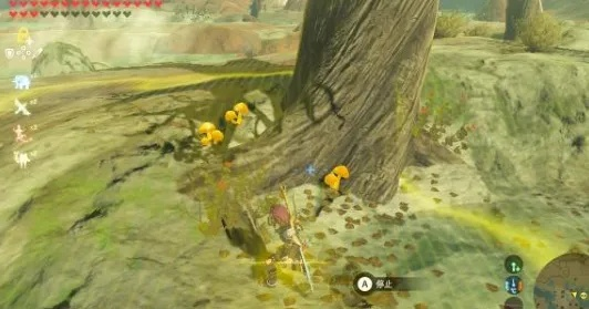 塞尔达蘑古力刷法藏着多少隐藏细节？老玩家实测3种效率路线避坑