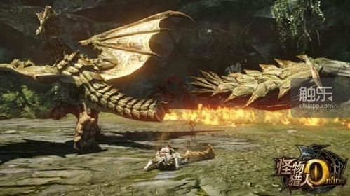 黑蚀龙猎人必看，为什么你刷不出天回龙素材？藏在鳞片里的进化密码