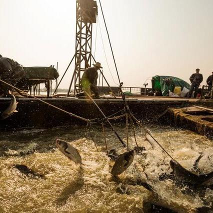 DNFM玩家必看，为什么你刷10次机械牛不如别人1次？隐藏收益逻辑曝光