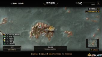 巫师玩家都在找的隐藏战斗逻辑，为什么你砍不死的BOSS，别人能速通？