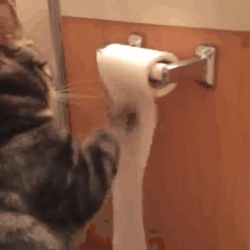 刷脸认证升级！Win11管理员保护，安全新境界震撼上线