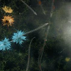 上古卷轴4湮灭藏了多少玩家没发现的代入感密码？