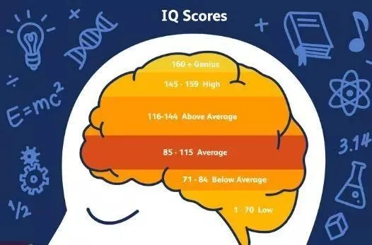 为什么你玩的简体中文版总差点意思？3个被忽略的体验盲区藏着答案