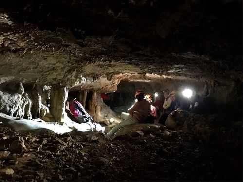 工人拆化粪池突发险情！地底钻出的怪物，为何让全服玩家连夜刷攻略？