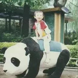 最后的学生时代里，我用这3款游戏补上了没说出口的再见