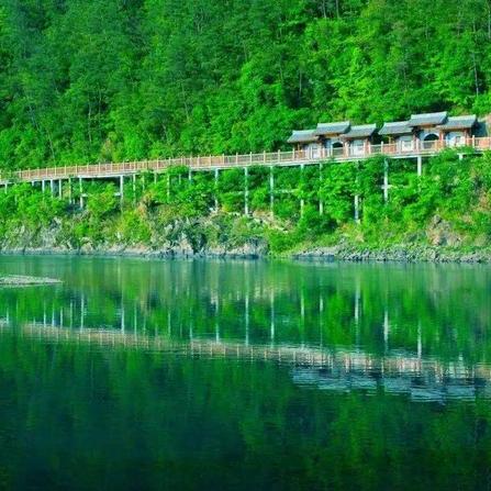 绿色传奇私服到底藏着多少老玩家不知道的生存密码？