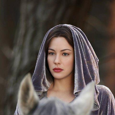 指环王端游配置总卡？3类玩家实战优化方案，直接抄就能稳60帧