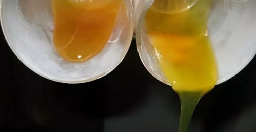 2026年新开仿盛大私服有多香？老玩家实测3款后告诉你答案