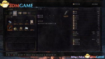 暗黑血统2还在卡关？老玩家压箱底的魂核流派、boss破招与隐藏道具全解