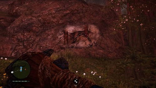 孤岛惊魂2中文版到底藏了多少没说透的生存密码？老玩家用100小时实战帮你扒开迷雾