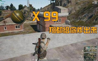 anhei老玩家私藏的3个开荒效率密码？2026年庇护所生存必看冷门机制