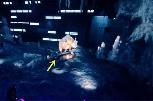 森林之子铲子到底藏在哪？我用3小时试出的精准定位+隐藏用法全攻略