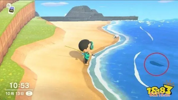 动森钓鱼大赛总差一口气？老玩家私藏的5个鱼影读心术+时间窗口密码