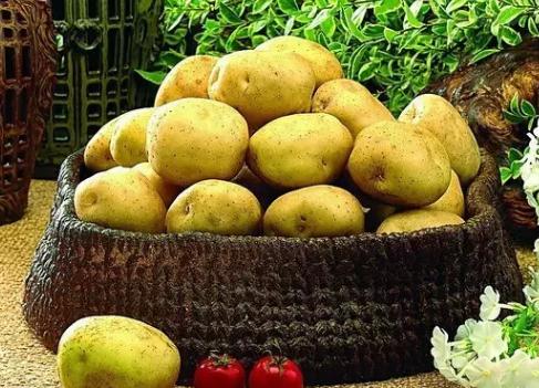 南方小土豆的哈尔滨后遗症，为什么回到家还在找冻梨蘸糖霜？