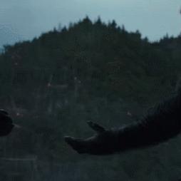 恐怖黎明死骑怎么加点？实战派玩家拆解3套T1BD，2026年开荒直接用