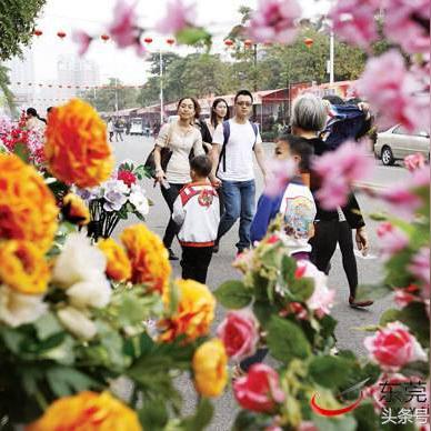 植物大战僵尸中文版藏了多少老玩家不知道的潜规则？10年骨灰级玩家拆穿3个关键真相