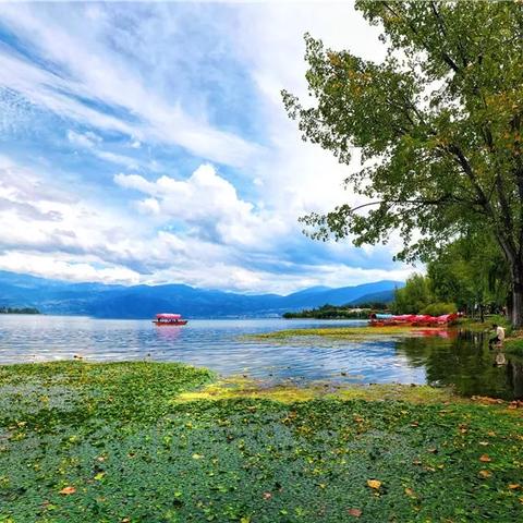 2026开年必玩单机战略游戏，为什么这5款能让老玩家放下文明？