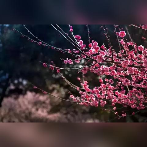 盛大密宝真能保住账号？老玩家用3年实战告诉你答案