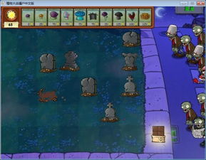 彩虹岛官方藏了多少玩家不知道的活地图？2026年新服开荒必看的隐藏机制